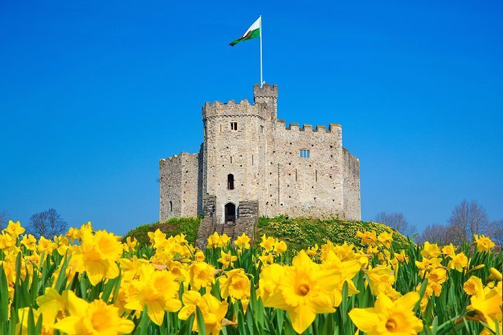 Faceți un tur al castelului Cardiff