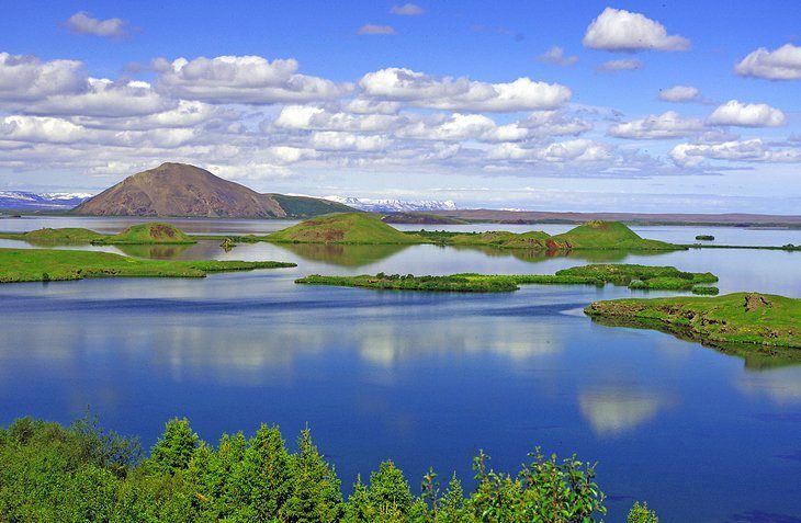 Observarea păsărilor la Lacul Myvatn și Rezervația Naturală