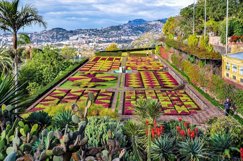 Grădina Botanică din Madeira
