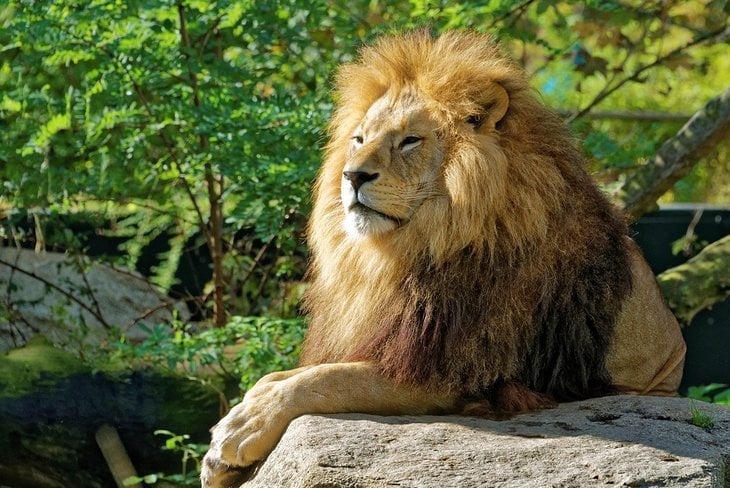 Tierpark Hellabrunn (Grădina Zoologică Hellabrunn)