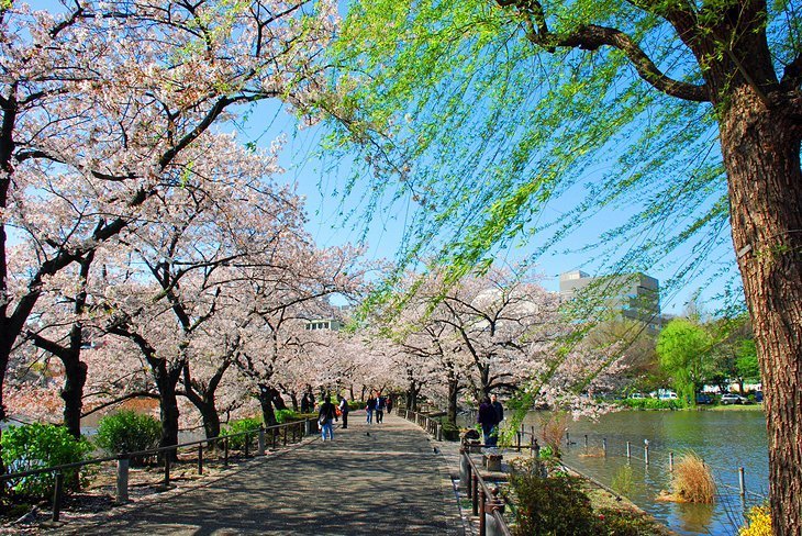 Bucurați-vă de natură la Ueno Park și Ueno Zoo