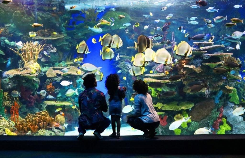 Ripley's Aquarium din Canada