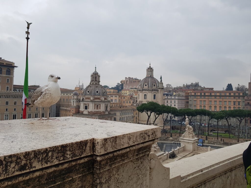 Mic ghid de calatorie – ce sa faci intr-o vacanta in Roma, ce sa nu ratezi, atractii turistice