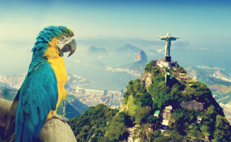 Carnavalul din Rio de Janeiro, Brazilia (zbor si cazare 7 nopti) – 1157 euro