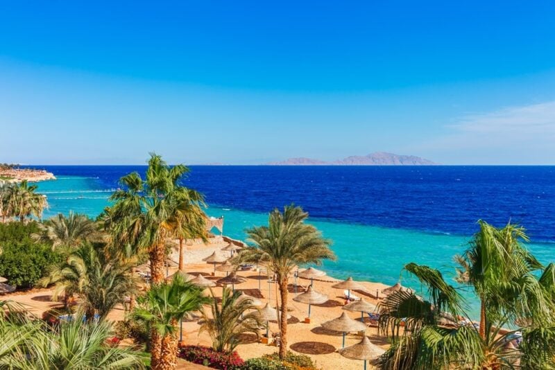 8 nopti in Sharm el Sheikh, Egipt – 389 euro (zbor si cazare) sau 459 (zbor si cazare ALL INCLUSIVE)