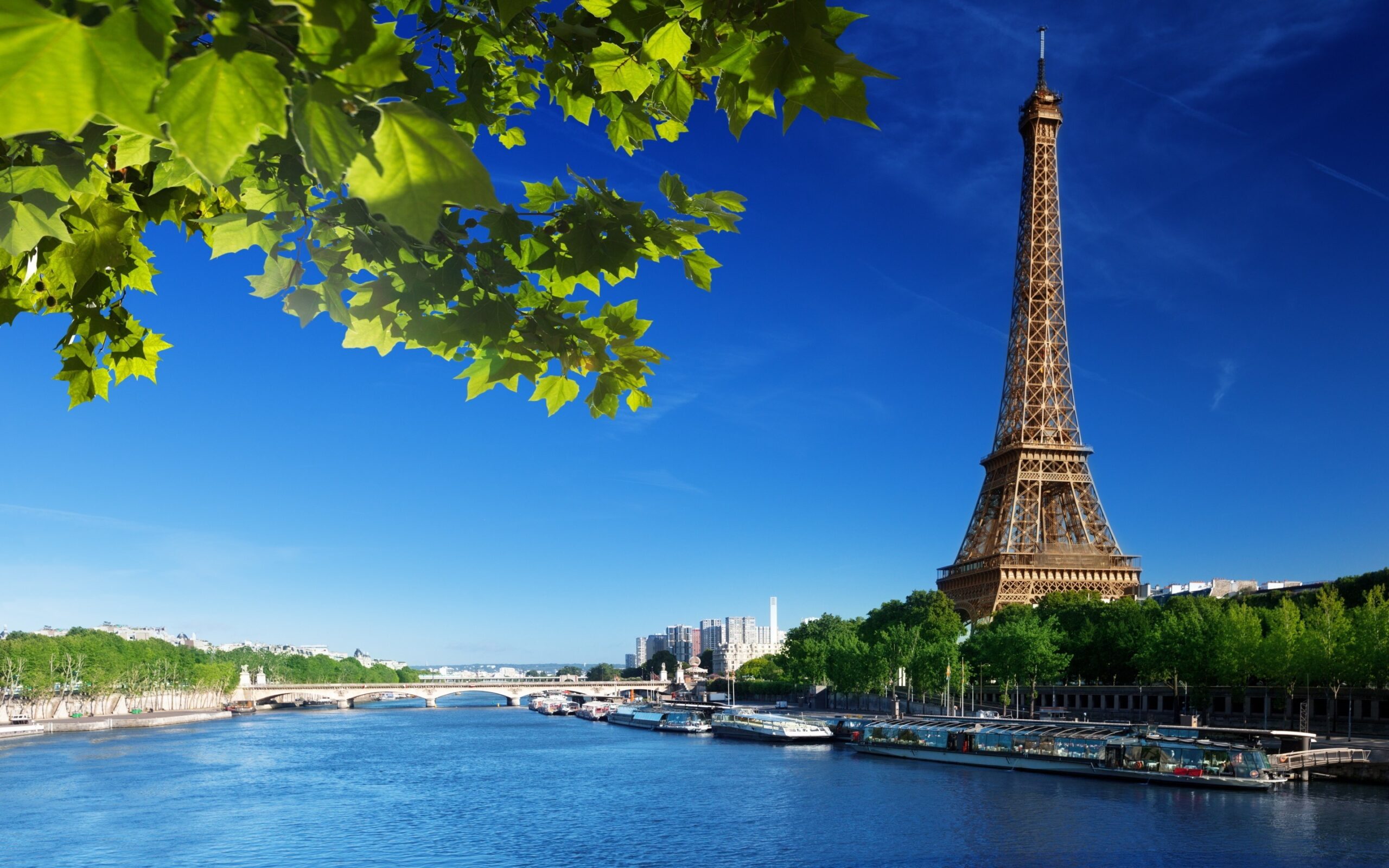 Vacanta in Paris – 146 euro! (include zbor + cazare 3 nopti)