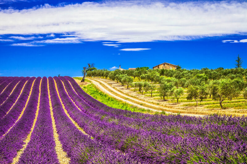 Marsilia si satele pitoresti din Provence – 193 euro (zbor si cazare 3 nopti)