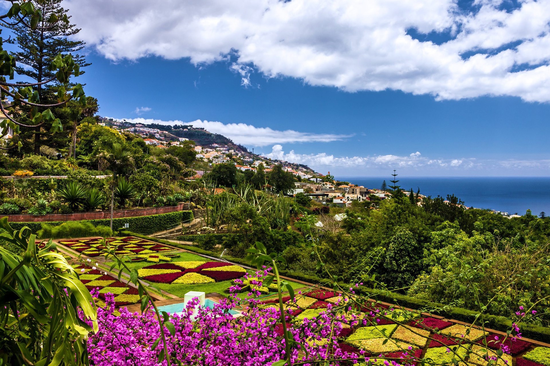 O saptamana in Madeira, insula primaverii eterne – 655 euro (zbor DIRECT + cazare)