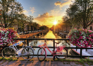 Zboruri spre AMSTERDAM de la 192 euro dus-intors