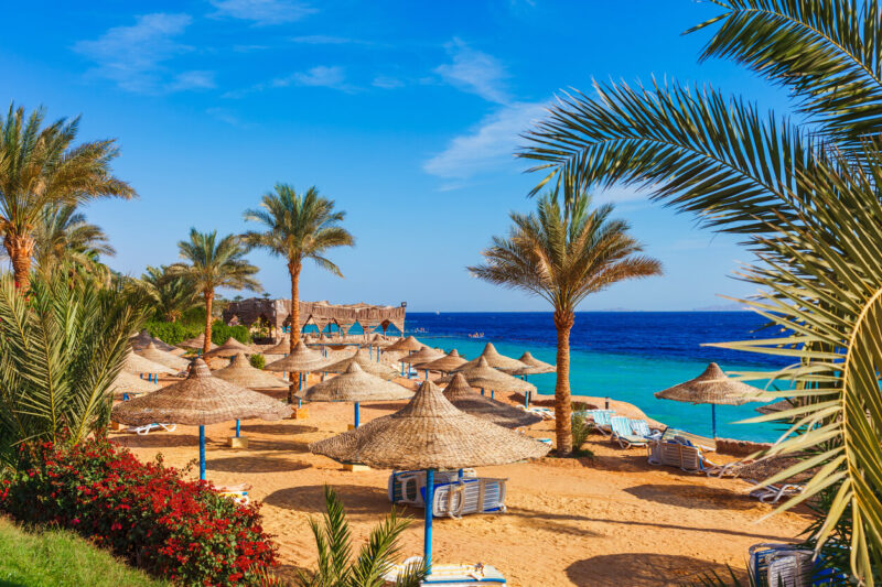 Vacanta in Sharm el Sheikh, Egipt – 278 euro (zbor si cazare) sau 417 (zbor si cazare TOATE MESELE INCLUSE)