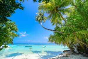 DECEMBRIE! 8 nopti in MALDIVE – 806 euro (zbor QATAR + cazare 4*)