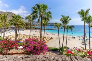 Zboruri directe spre Gran Canaria, Insulele Canare de la 97 euro dus-intors